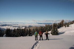 schneeschuhwandern-winterlandschaft-wintersport